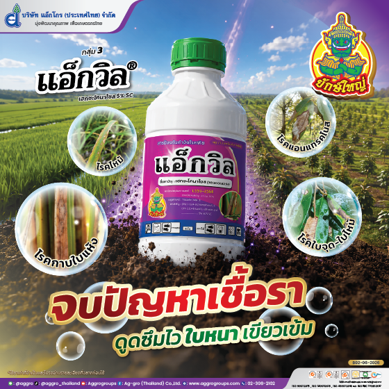 แอ็กวิล